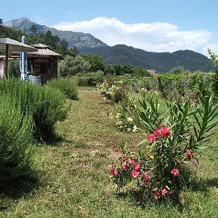 Thassos Christine Potamia * Ποταμιά
