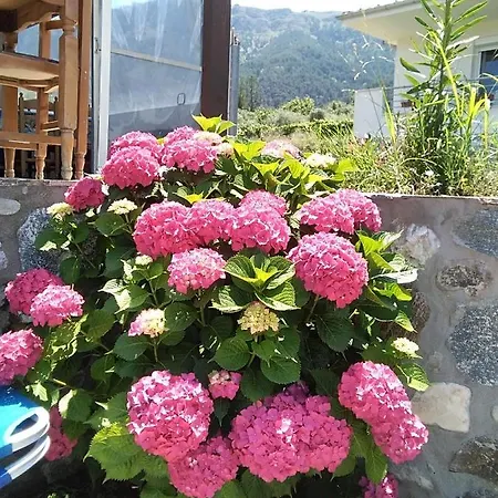 Διαμέρισμα Thassos Christine Potamia Ποταμιά